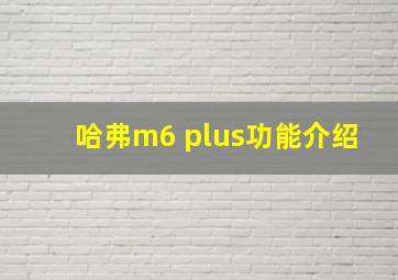 哈弗m6 plus功能介绍